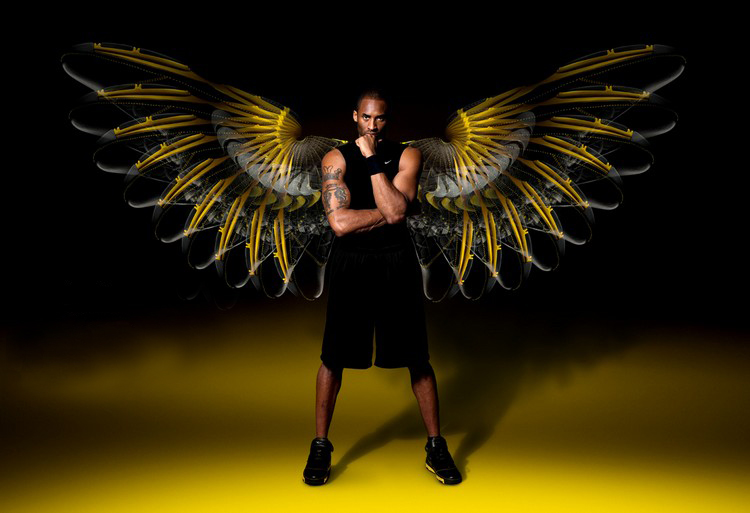 则需公布 则需公布